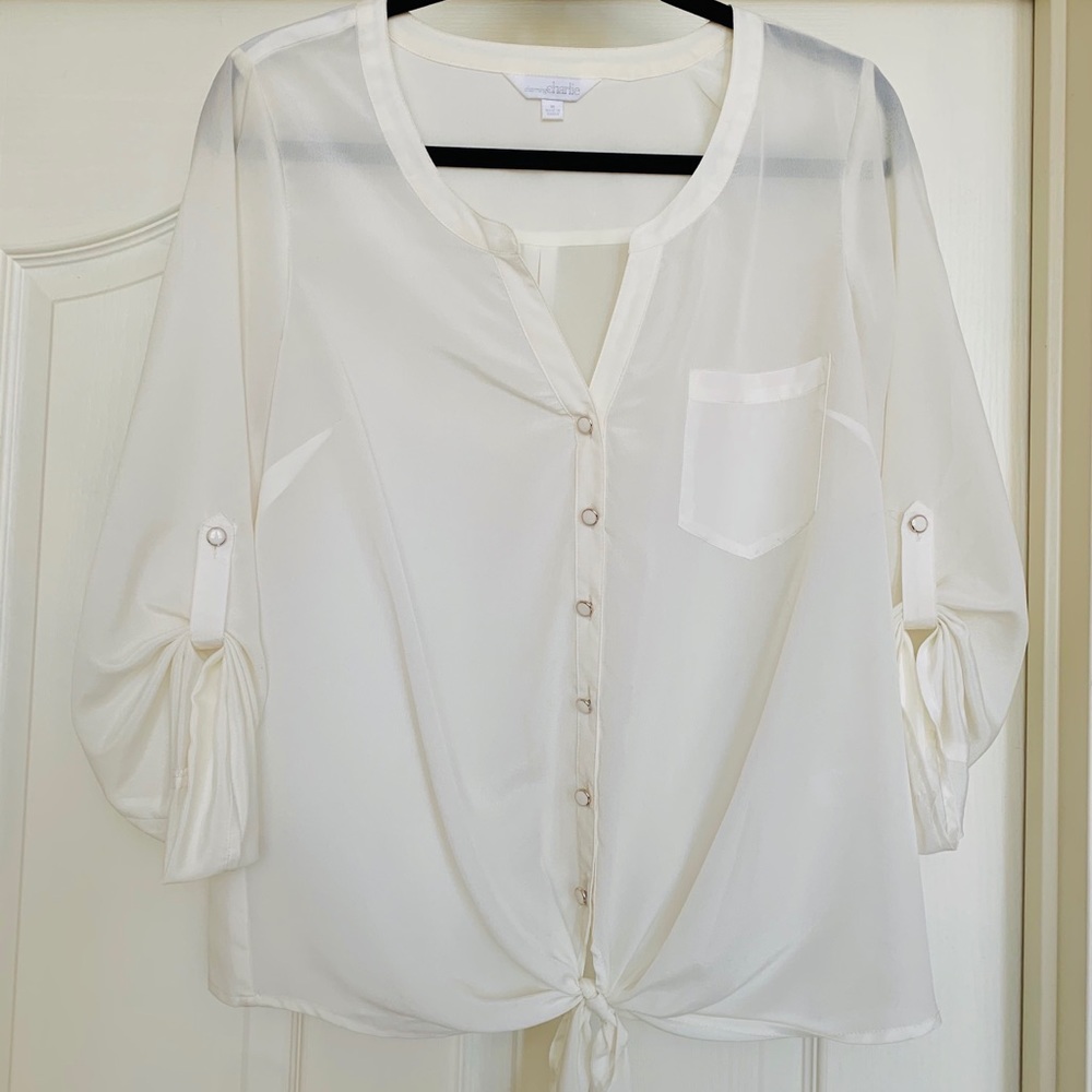 Sheer button down blouse